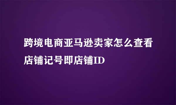 跨境电商亚马逊卖家怎么查看店铺记号即店铺ID