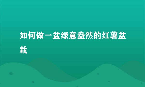 如何做一盆绿意盎然的红薯盆栽