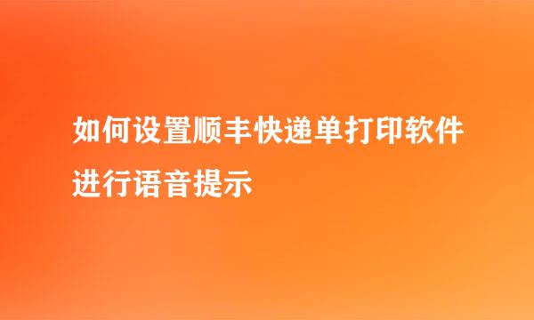 如何设置顺丰快递单打印软件进行语音提示