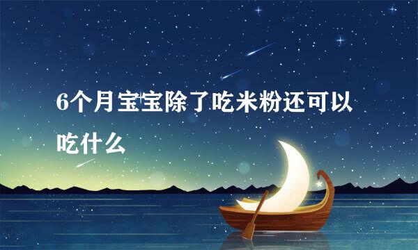 6个月宝宝除了吃米粉还可以吃什么