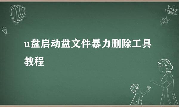 u盘启动盘文件暴力删除工具教程