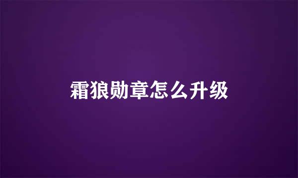 霜狼勋章怎么升级