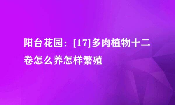 阳台花园：[17]多肉植物十二卷怎么养怎样繁殖