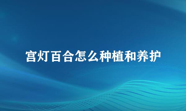 宫灯百合怎么种植和养护