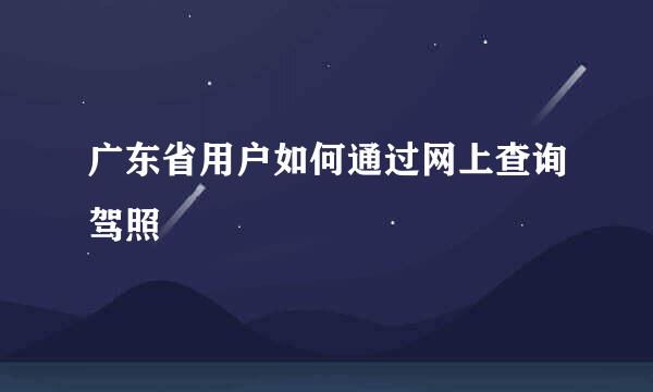 广东省用户如何通过网上查询驾照