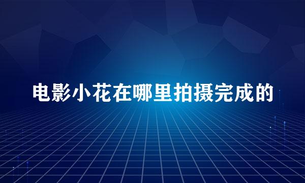 电影小花在哪里拍摄完成的